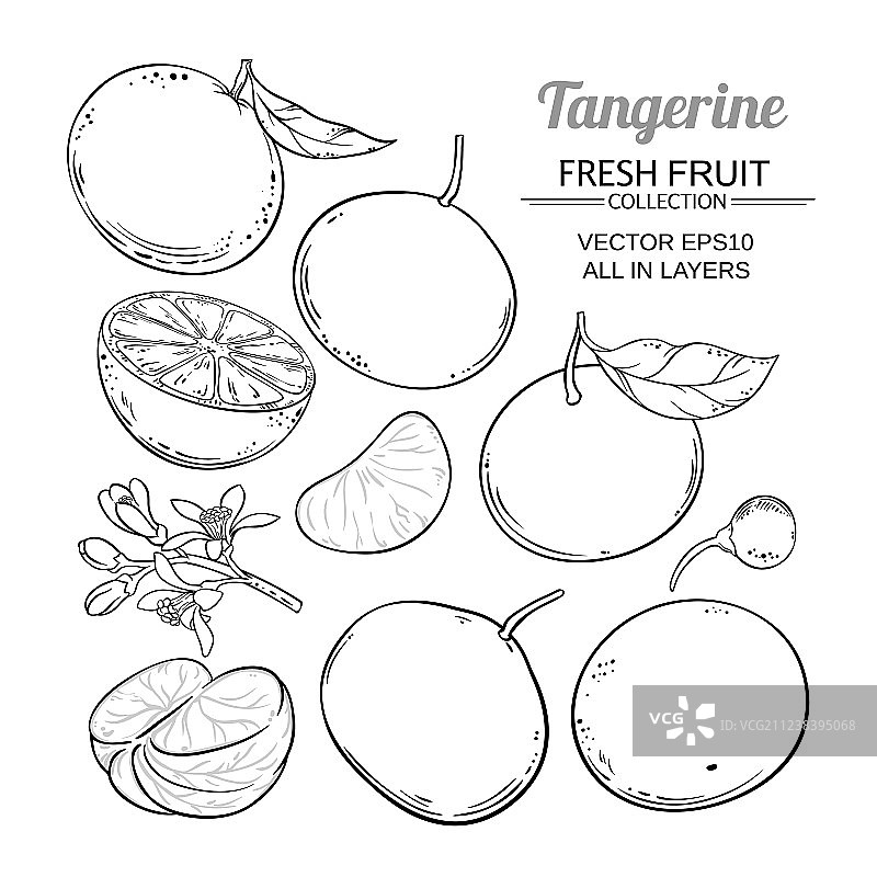 橘子水果图片素材