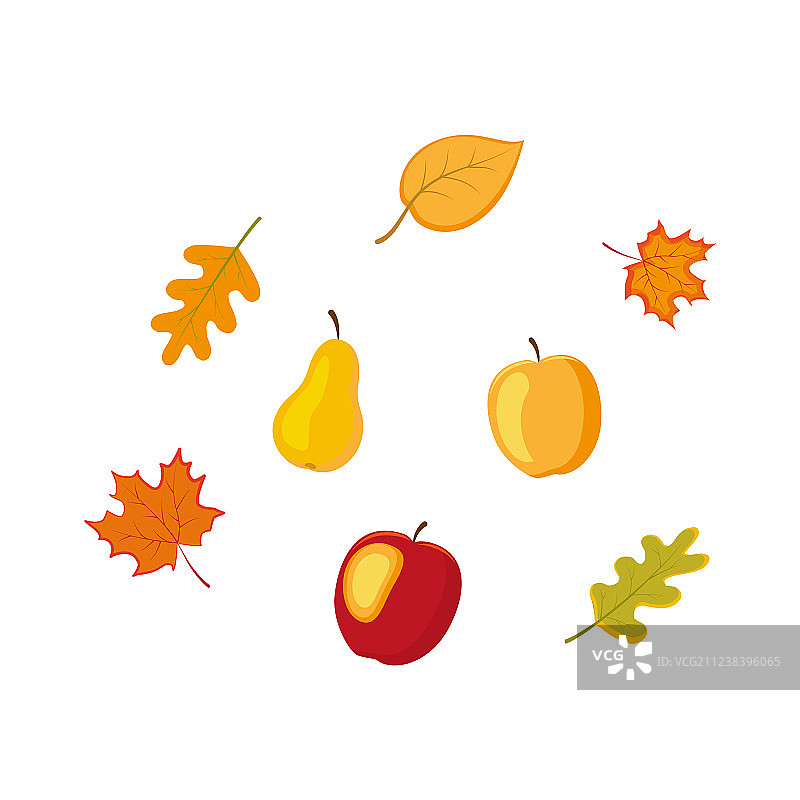水果蔬菜秋季落叶合集图片素材