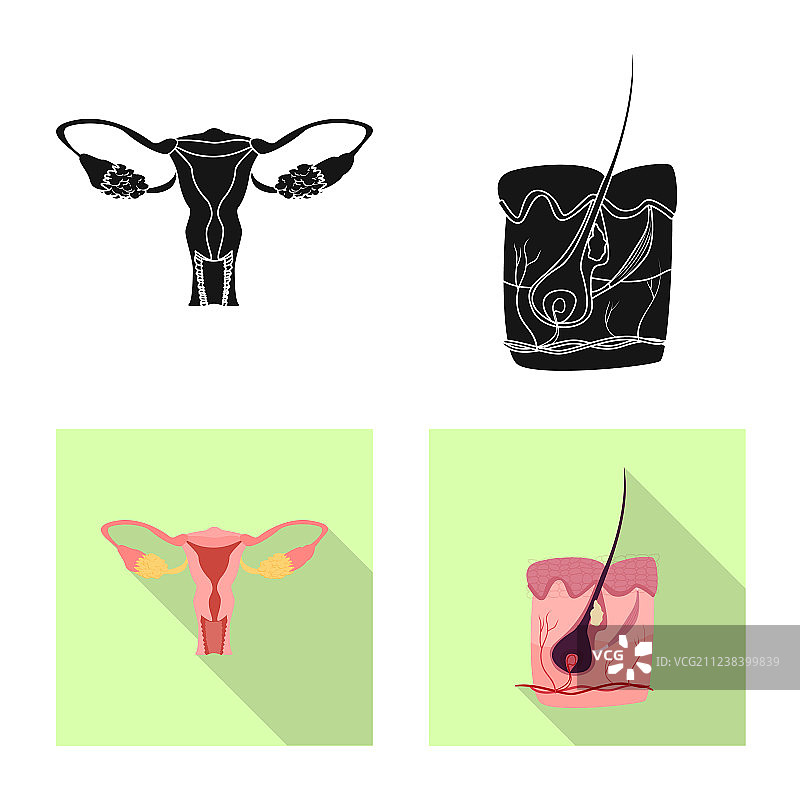 人体图标设计图片素材