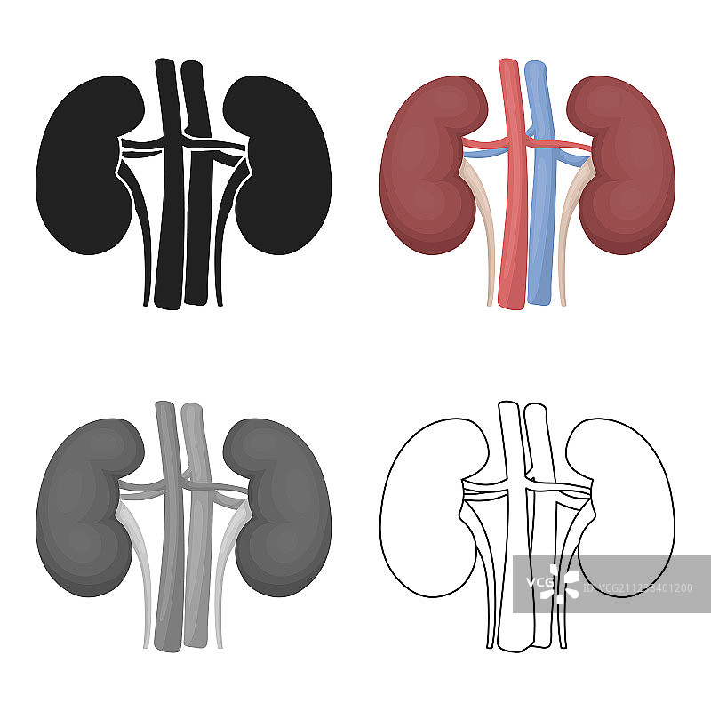 卡通风格的肾脏图标图片素材