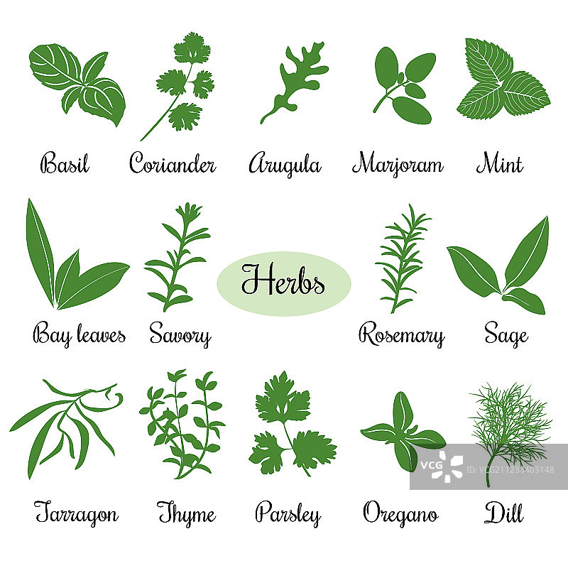 扁平风烹饪香草剪影合集图片素材