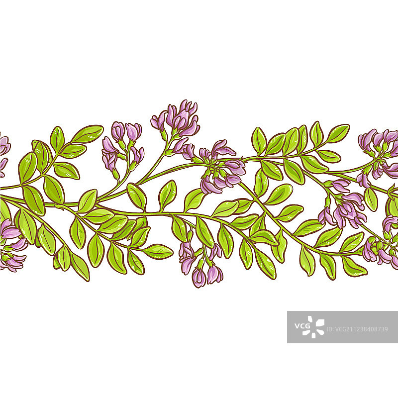 黄芪图案图片素材