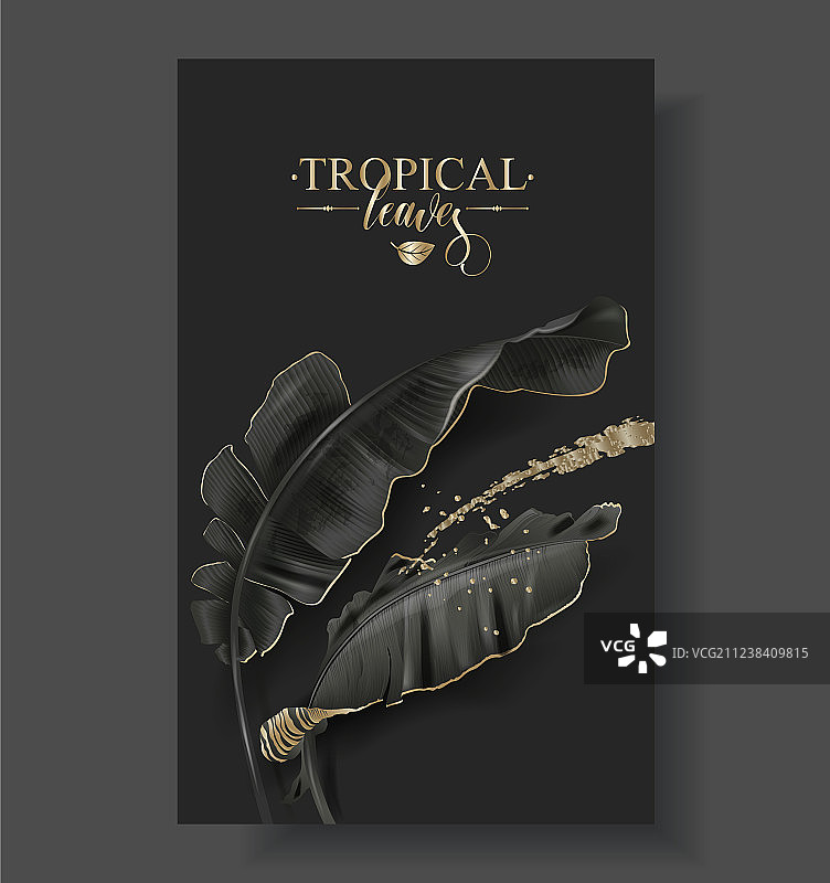 热带香蕉叶黑色和金色banner图片素材