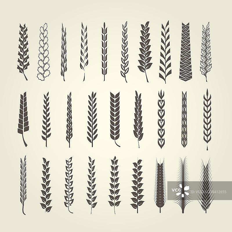 不同风格的小麦和黑麦穗集合图片素材