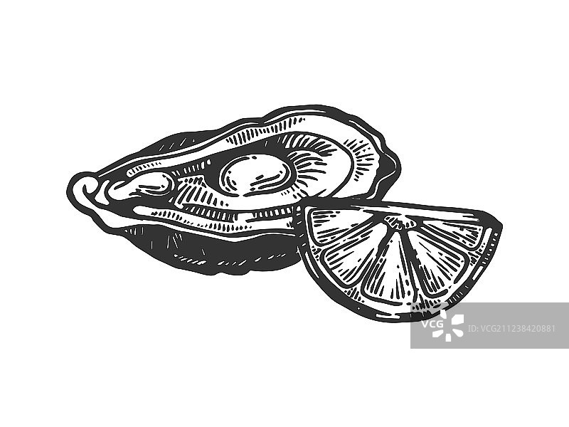 带柠檬的牡蛎海洋动物雕刻图片素材