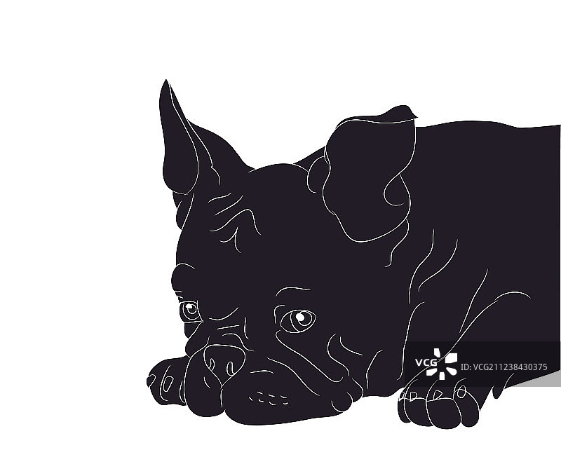 小狗剪影肖像图片素材