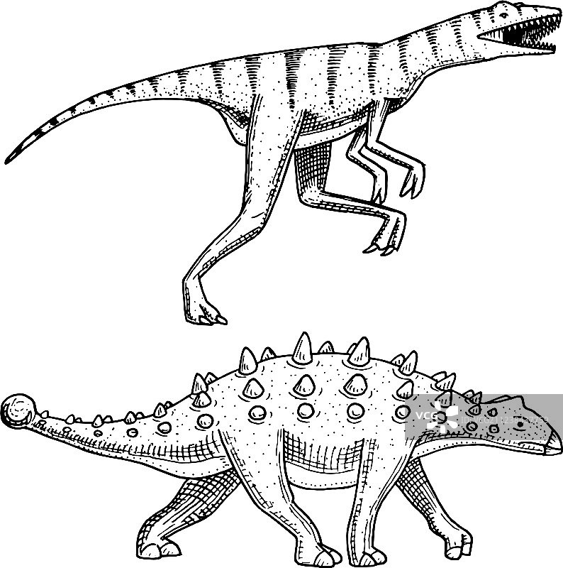 甲龙、板龙、迅猛龙图片素材