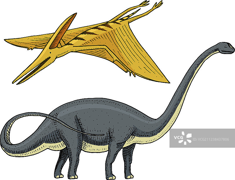 腕龙或板龙恐龙图片素材