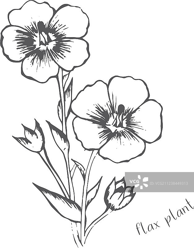 手绘单色亚麻花图片素材