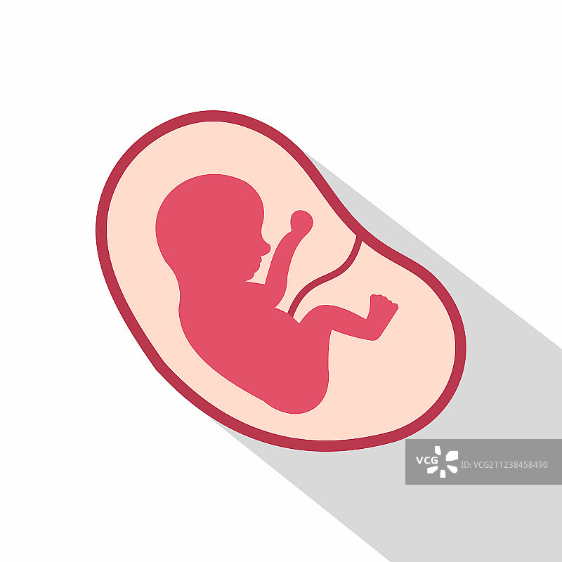 子宫内胎儿图标（扁平风格）图片素材