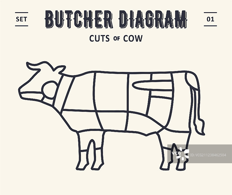 牛肉屠宰分割示意图图片素材