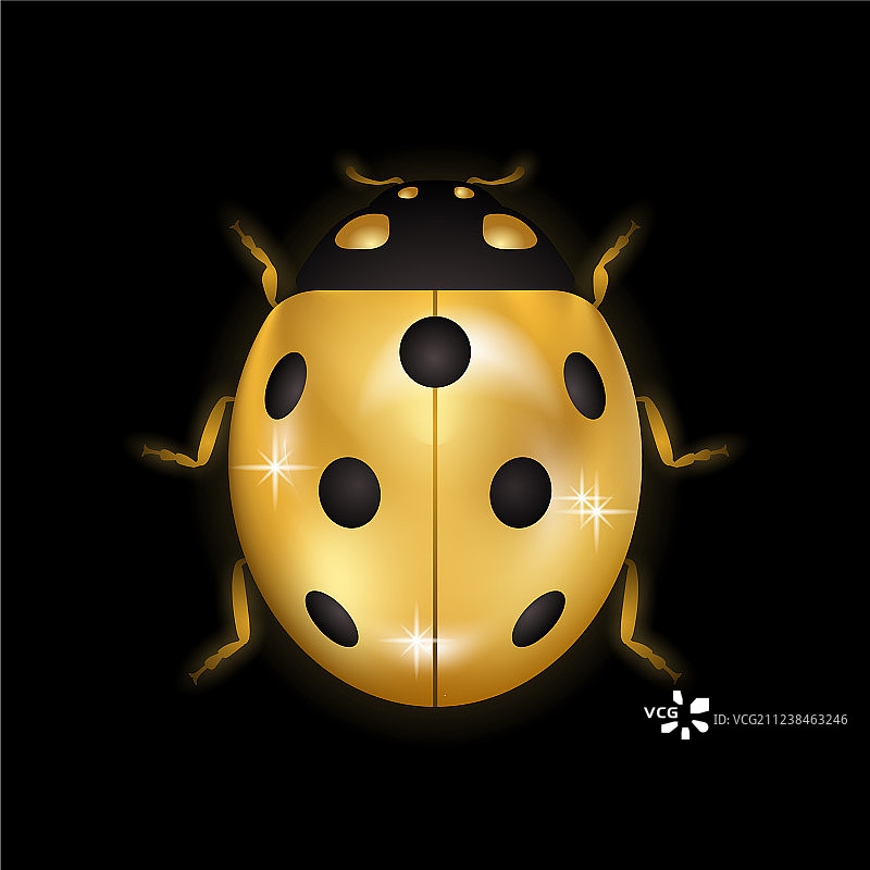 金色昆虫小图标：金色瓢虫图片素材
