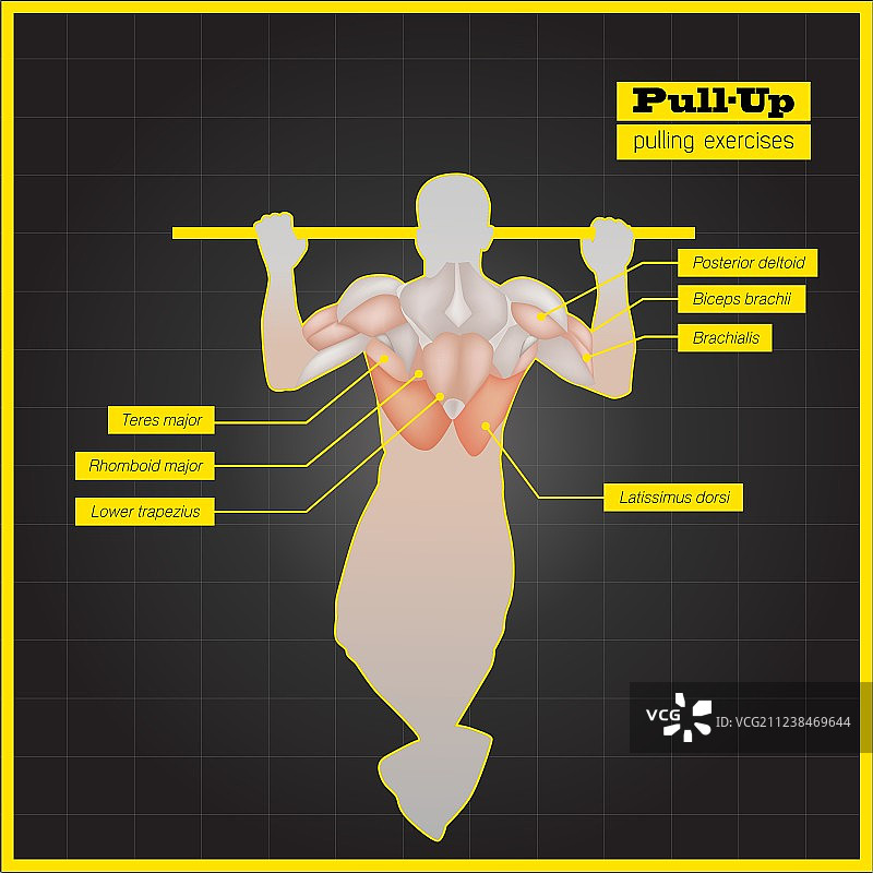 对抗肌群锻炼图片素材