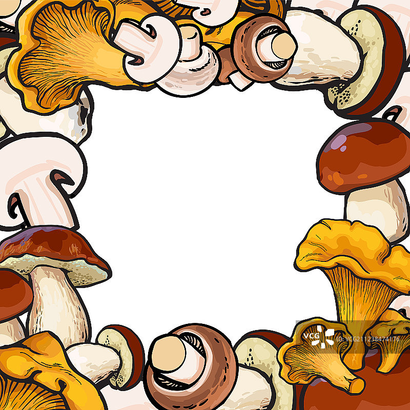 蘑菇素描方形边框图片素材