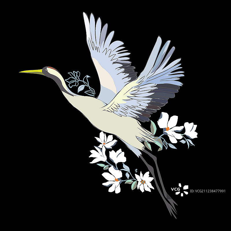 水彩鸟类白鹳套装图片素材