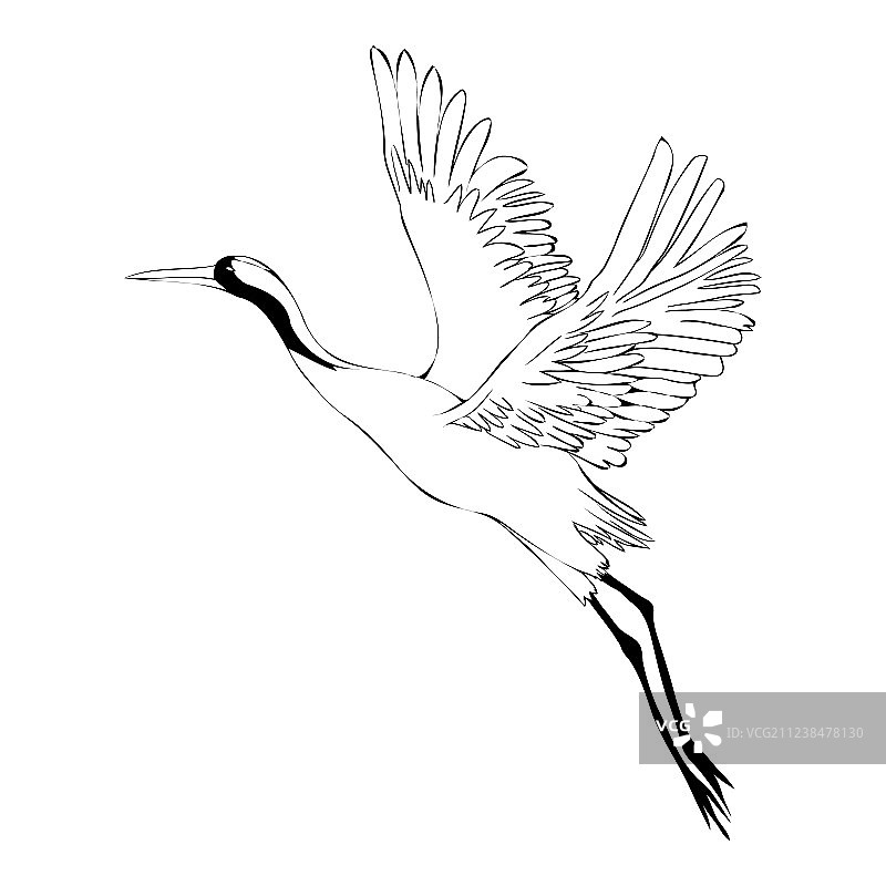 水彩鸟类白鹳套装图片素材