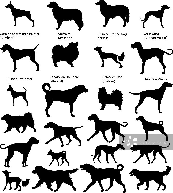 不同品种动物剪影合集图片素材