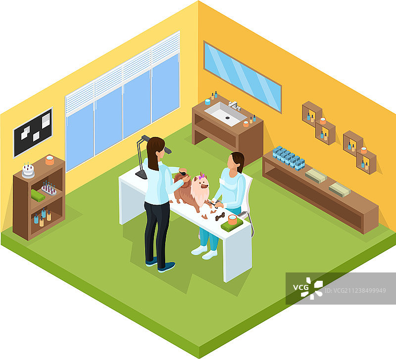 2.5D宠物美容院模板图片素材
