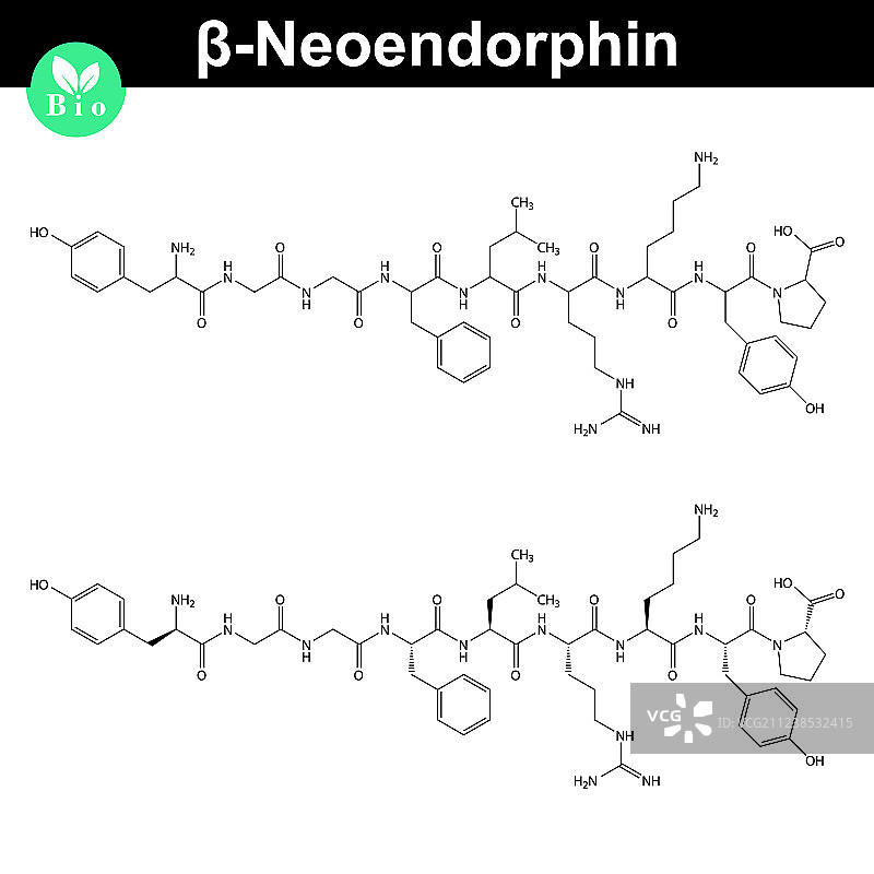 β-新内啡肽分子式图片素材