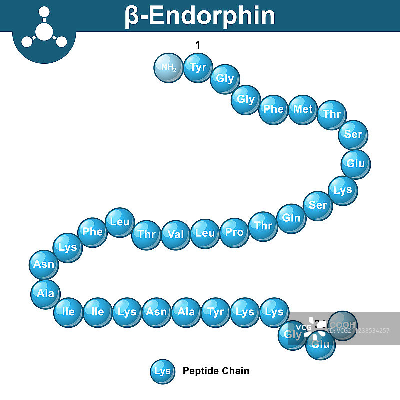 内啡肽的分子式图片素材