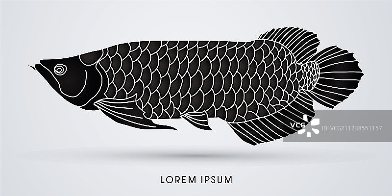 金龙鱼图案图片素材