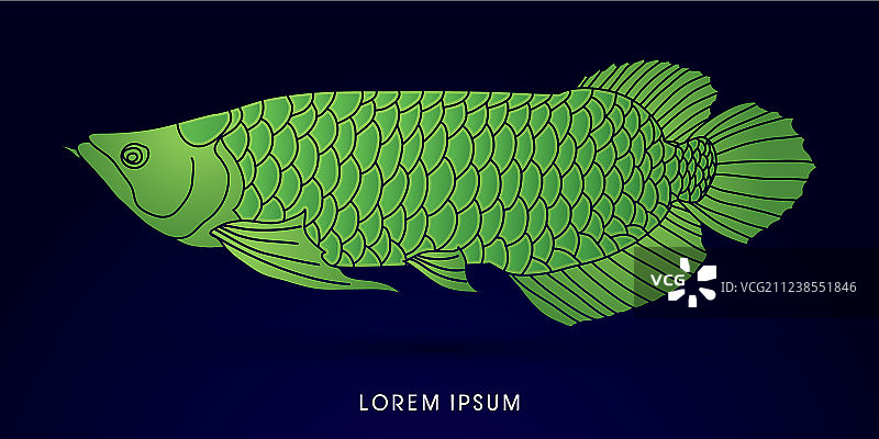 金龙鱼图案图片素材