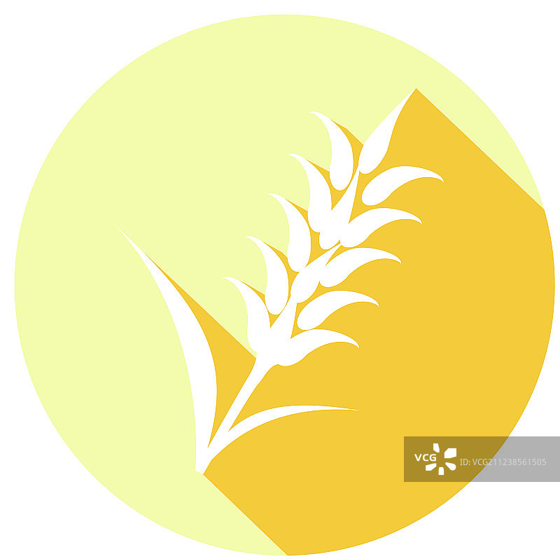 带长阴影的麦穗图标图片素材