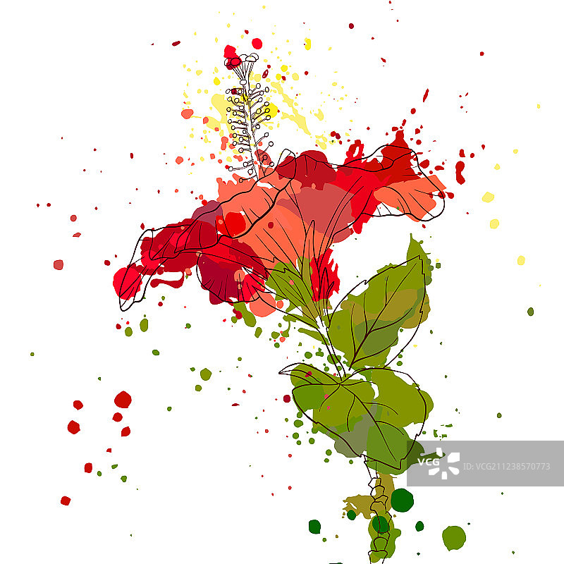 手绘芙蓉花图片素材