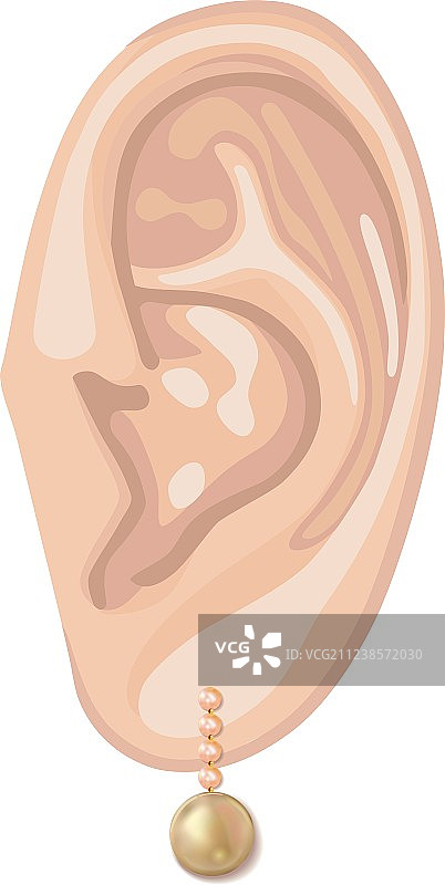 人的耳朵和悬挂的珍珠耳环图片素材