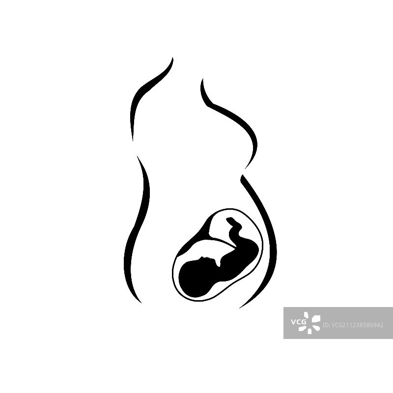 怀孕母亲的身体与子宫里的婴儿图片素材