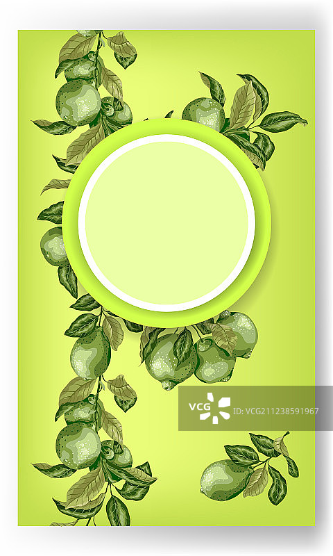 亮绿色圆形边框banner图片素材