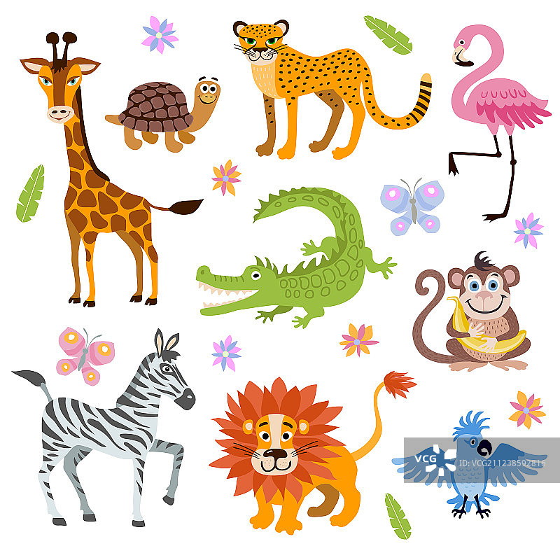 儿童丛林和野生动物套装图片素材