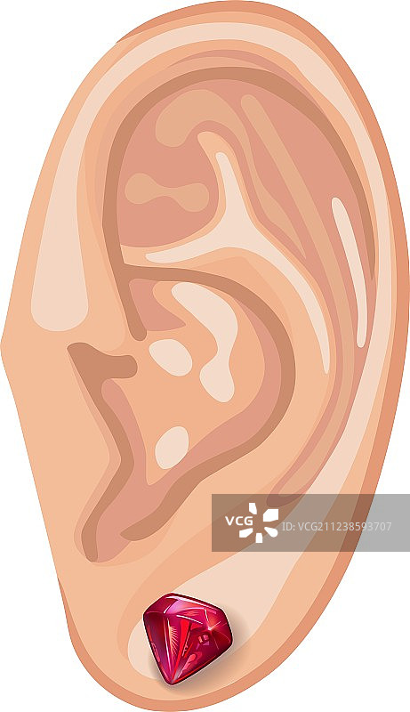 人的耳朵和耳环图片素材