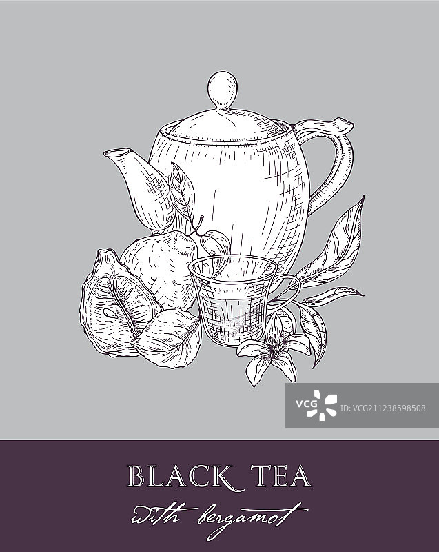 单色茶壶茶杯茶叶绘画图片素材