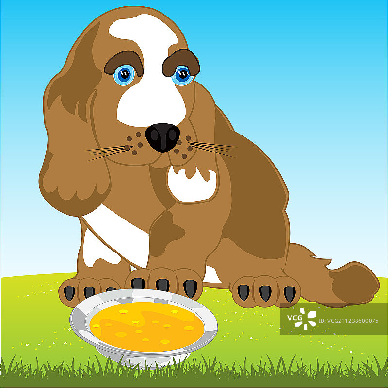 狗和装有食物的汤盆图片素材
