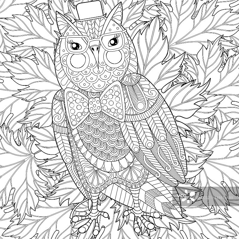 成人减压禅绕画猫头鹰图片素材