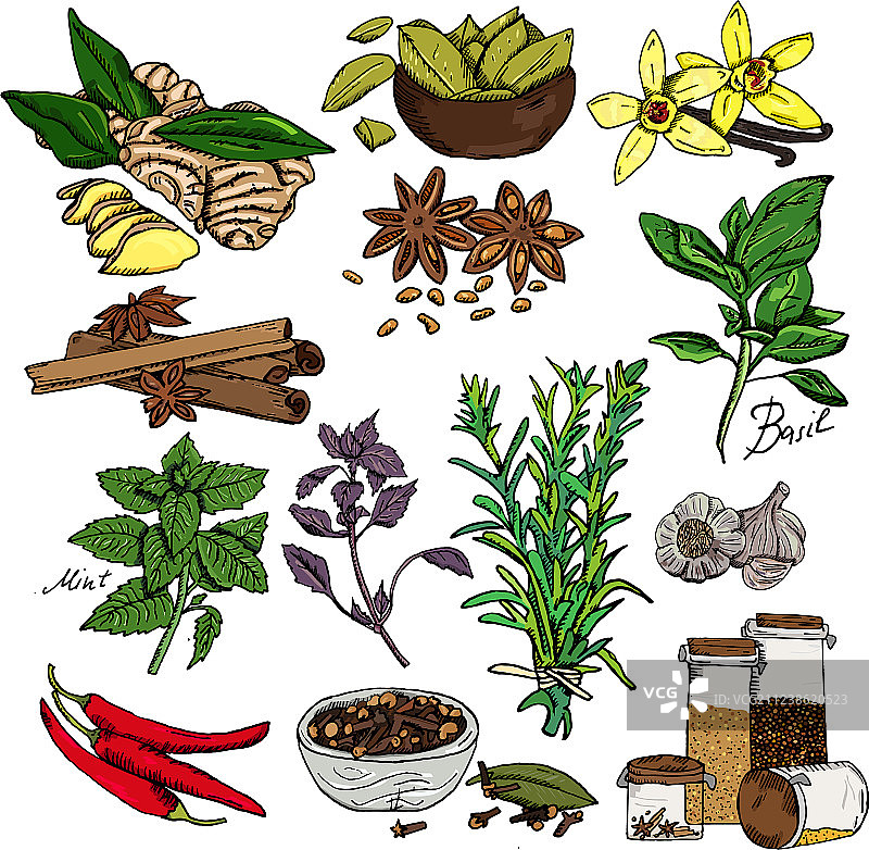 手绘香料草图背景图片素材