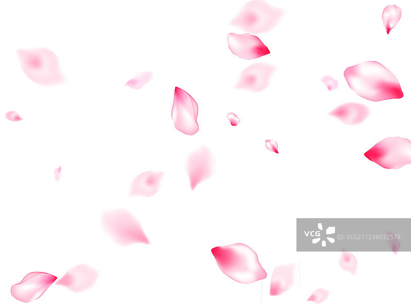 飘落的春季花瓣图片素材