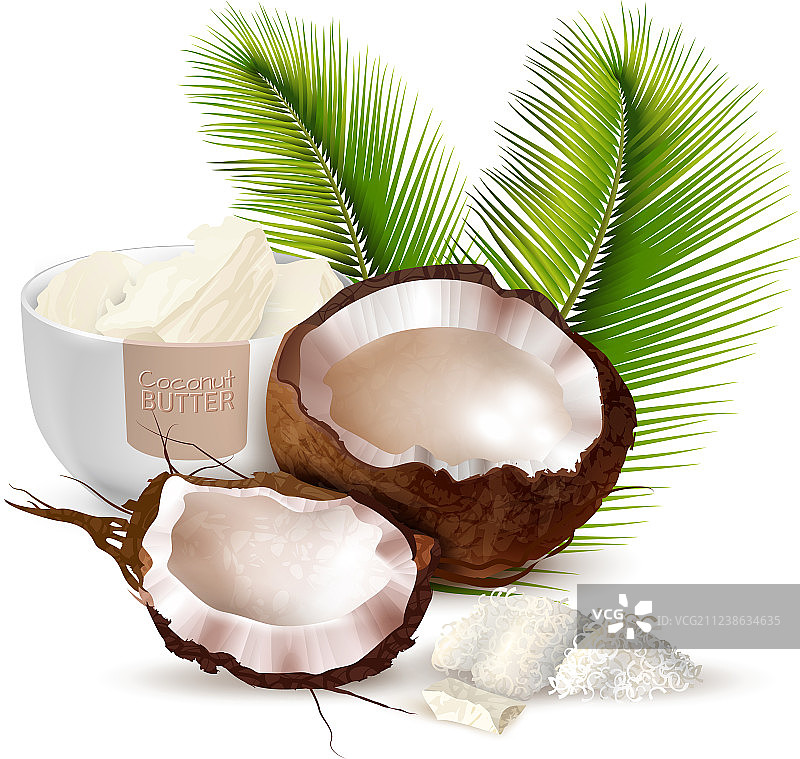 逼真椰子图片素材