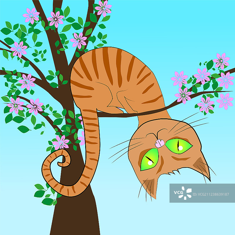 树上的红猫图片素材