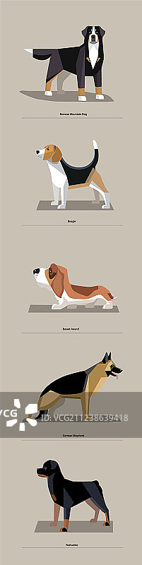 极简风格的犬品种图片素材