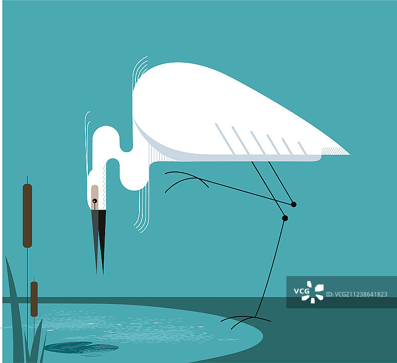 单腿站立的小白鹭图片素材