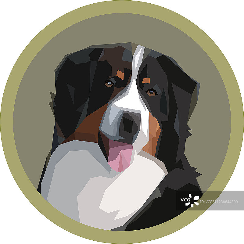 伯恩山犬肖像图片素材