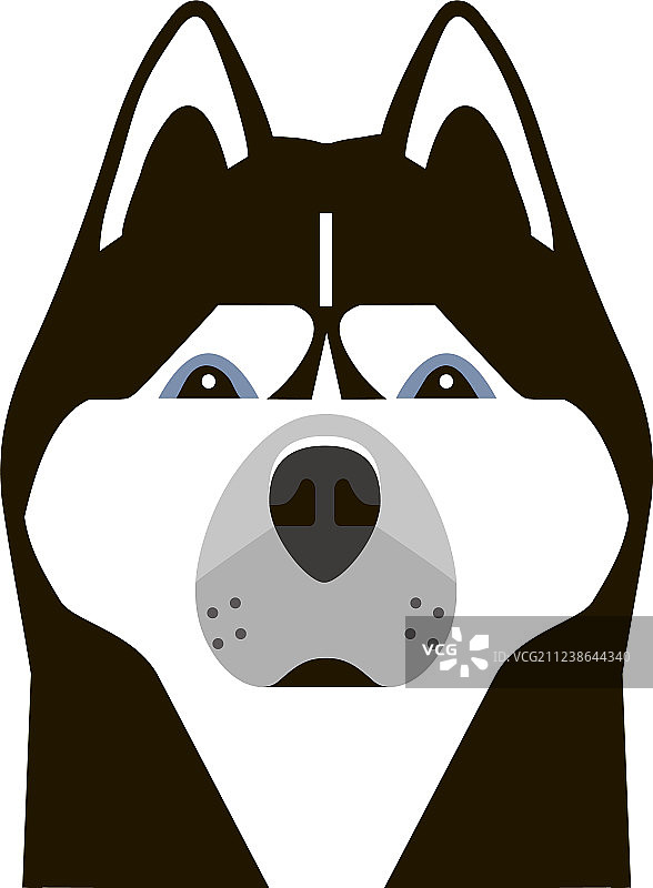 极简风格的哈士奇肖像图片素材