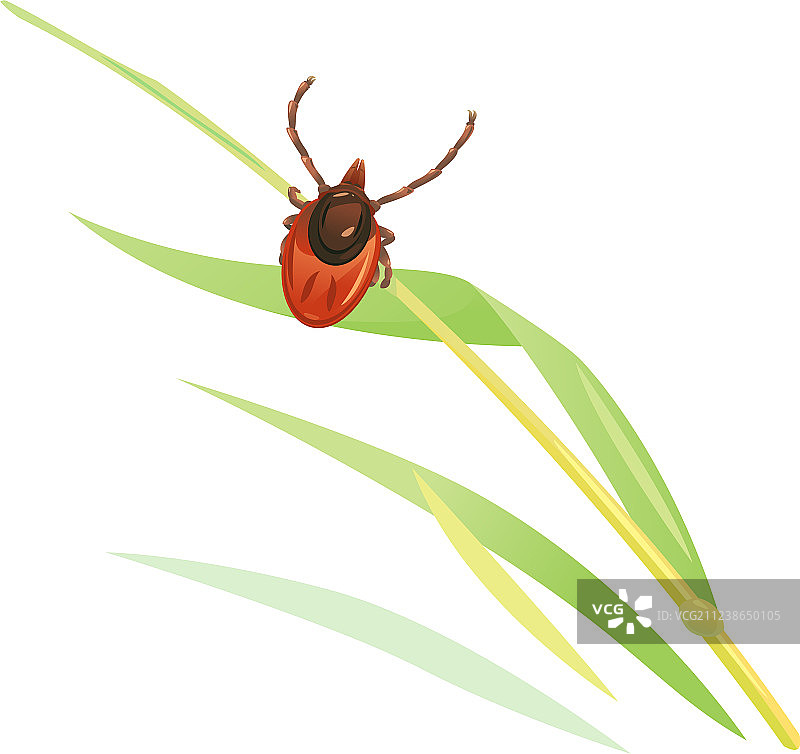 草丛中的螨虫图片素材