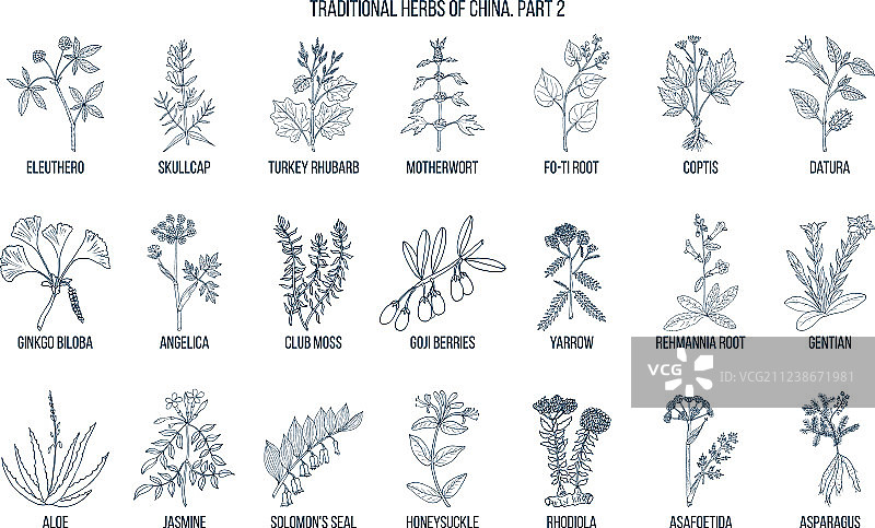 中国传统药材图片素材