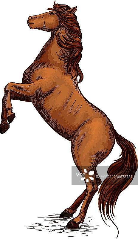 马术赛马运动标志图片素材