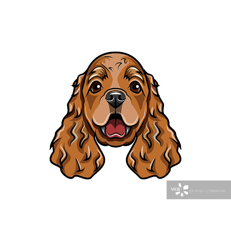 英国可卡犬头部图片素材