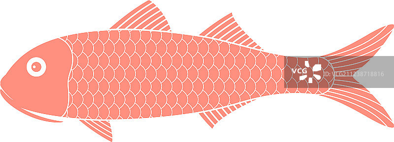 红鲻鱼图片素材