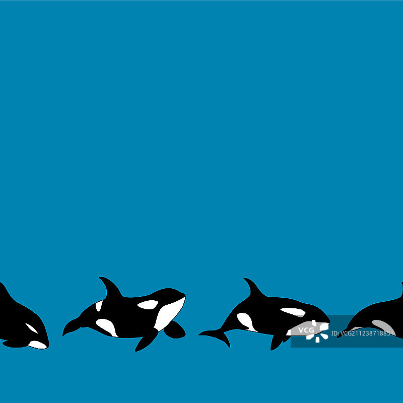 图形虎鲸无缝边框图片素材